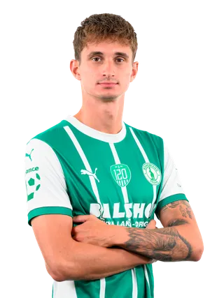 Dominik Pleštil